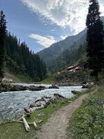 A path leads to a river in the mountains photo