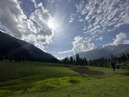 A field with trees and mountains in the background photo
