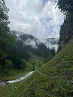 A river runs through a valley surrounded by trees photo