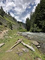 A river runs through a forest and mountains photo