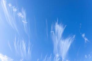 Scenic dramatic summer clouds. Cloudscape of bright blue sky. Cloud background. photo