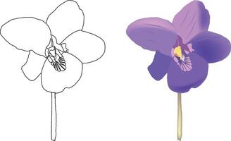 How to draw a purple flower vector