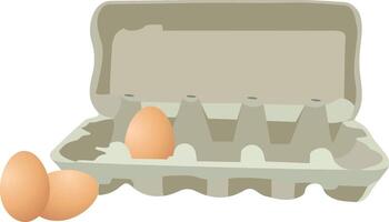 Eggs in a carton vector