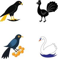 Different Type Of Birds Illustration vector