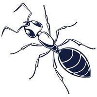 Silhouette of an ant. vector