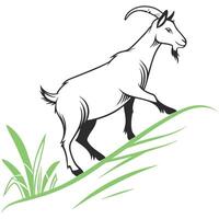 Goat on hill vector