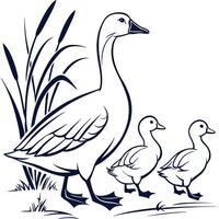 Duck family with ducklings vector