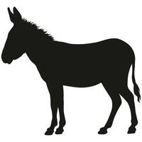 A silhouette of a donkey standing on a white background vector