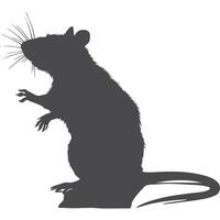 A rat is standing on its hind legs and looking up vector