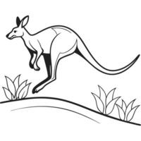 Australian kangaroo jumping on the hill illustration vector