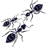 Silhouette of a group of ant. vector