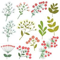 Collection of branches with flowers and branches with berries, botanical isolates in flat style. Christmas berries and branches. vector