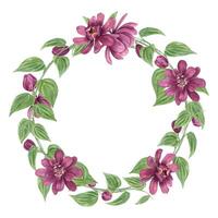 Purple double flowers with intertwined stems watercolor wreath. Blooming Carolina allspice or Calycanthus round illustration with copy space for text. For greeting cards, label, invitation vector