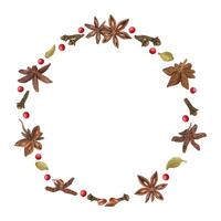 Cardamom, star anise, clove,red peppers and cloves watercolor round frame with copy space for text. Aroma winter spice ingredients for Xmas drinks design, menu decor, greeting cards. vector
