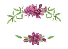 Purple flowers and green leaves watercolor isolated frame. Carolina allspice or Calycanthus illustration with copy space for text. Blooming tropical plant for designing invitation vector