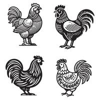 hen chicken icon silhouette set. A charming hen, with glossy feathers vector
