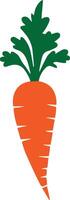 Carrot in colors hand drawn isolated for juice and soup on white background. vector
