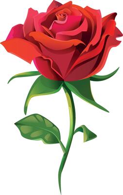 Isolated cartoon red rose