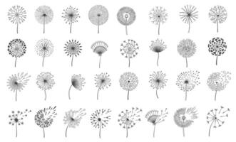Dandelion silhouettes in black and white with various delicate patterns of seeds and dandelion flowers fluttering in wind. Suitable for decor, art prints and creative projects. illustration vector