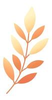 Gradient orange and yellow leaves growing on a delicate branch, exuding a warm and inviting autumnal atmosphere, ideal for enhancing nature themed designs and decorations vector