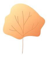 Gradient colors transitioning on a single autumn leaf, showcasing vibrant veins and celebrating the beauty of the fall season with warm hues of orange and yellow vector