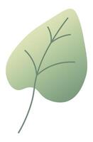 Green leaf displaying intricate veins on a white background, embodying themes of nature, growth, and environmental harmony, while symbolizing freshness and vitality in every detail vector