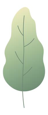 Single green leaf with central vein and soft gradient from light to dark green, creating a fresh and natural feel, perfect for representing nature, growth, or eco friendly concepts