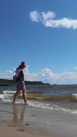 Exploring serene beach waves with joyful play under sunny skies. video