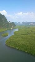 Aerial View Of Mangrove Forest And River In Krabi Province, Thailand video