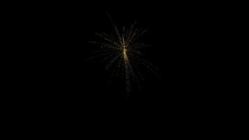 Four separate explosions of colored fireworks on a black background. Abstract animation. video