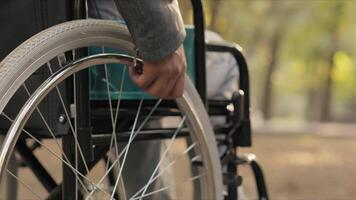 Man in wheelchair moving forward in a park video