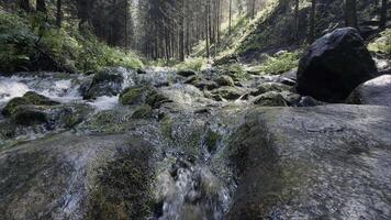 Fresh water cascading down rocks in forest stream video