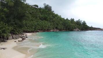 Seychelles beach and palm trees from a bird's eye view video