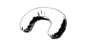 Animation forms a sketch of the neck pillow icon video