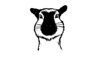 Animation forms a sketch of a capybara icon video
