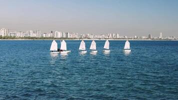Sailboats gracefully navigate calm ocean waters against a city skyline backdrop under a clear blue sky, showcasing coastal harmony and urban life video