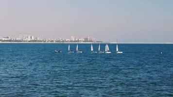 Line of seven sailboats with white sails is sailing from the left to the right of the frame. The boats are all moving at approximately the same speed video