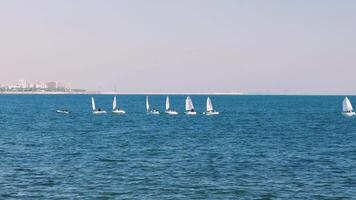 Sailboats racing closely together glide across a vast expanse of blue water, with a city skyline visible in the background video