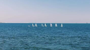 Sailboats participating in a regatta sail in a line formation across blue waters. The scene captures the excitement of competition on a sunny day, showcasing teamwork and strategy video