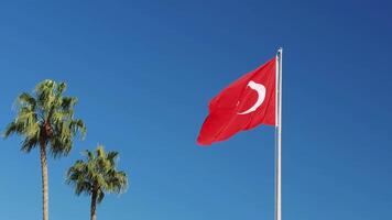 The turkish flag waves in the wind on a flagpole. The flag is red with a white crescent moon and star. Two palm trees stand in the breeze video