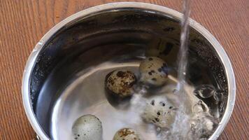 Pouring clear water into metal pot with tiny spotted quail eggs. Ready for cooking. Splashing water jet with bubbles in pot full of transparent water with boiled eggs. Healthy food preparation video