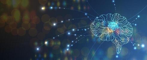 The brain is shown in a digital image vector