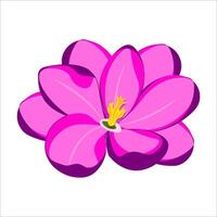 Exotic pink flower with a yellow center. Isolated illustration on white background. vector