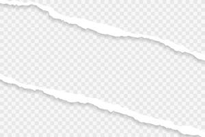 torn paper two time on background vector