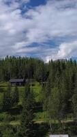 Flying over a forest and lake in the mountains of Norway, vertical footage video