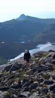 Aerial view of a girl with a backpack traveling through the mountains. Beautiful view of the peaked tops of the Lofoten Islands, Norway, vertical footage video