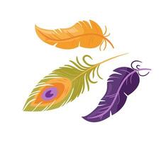A vibrant set of multi colored peacock and parrot feathers in a boho style. This illustration showcases intricate details and flowing designs, perfect for creative projects or home decor. vector