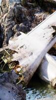Plane wreck on the beach with rocks near ocean video