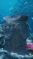 ruins of ancient civilization encrusted with algae and coral on sea bottom video