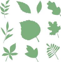 Set of leaves elements. Collection botanical isolated on white background vector